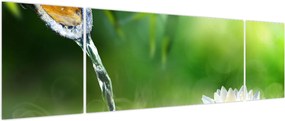 Obraz - Lotos (170x50 cm)