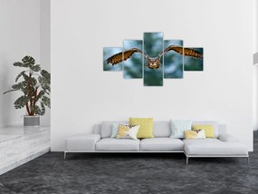 Obraz - Sowa w locie (125x70 cm)