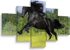 Obraz - Koń z płynącą grzywą (125x70 cm)