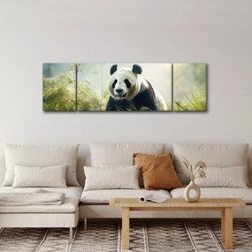 Obraz - Panda (170x50 cm)