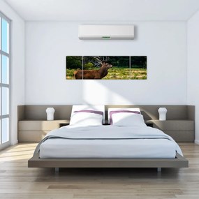 Obraz jelenia (170x50 cm)