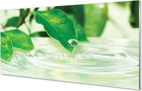 Szklany Panel Krople Deszczu na Liściach