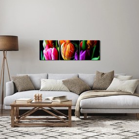 Obraz tulipanów na czarnym tle (z zegarem) (90x30 cm)
