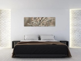 Obraz - Roślina w mrozie (170x50 cm)