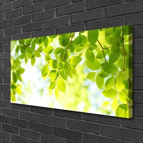Obraz na płótnie Świeże Zielone Liście
