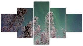 Obraz zorzy polarnej nad zamarzniętymi drzewami (125x70 cm)