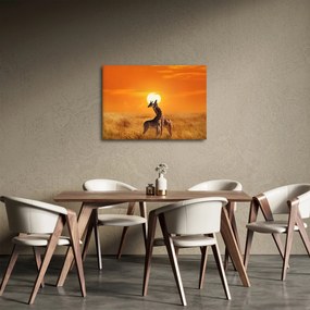 Obraz - Żyrafy w Parku Narodowym Serengeti (70x50 cm)