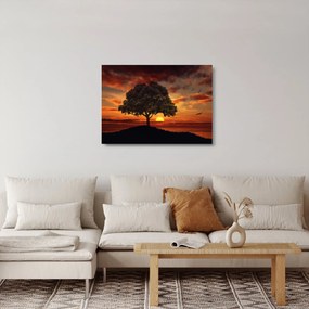 Obraz na szkle drzewa o zachodzie słońca (70x50 cm)