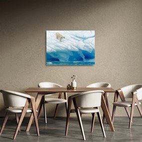 Obraz na szkle - Niedźwiedź polarny (70x50 cm)