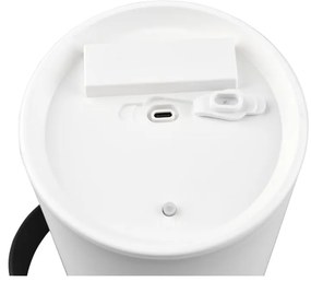 Solarna lampa zewnętrzna LED (wysokość 21 cm) Garcia – Trio