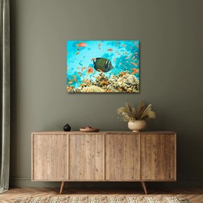 Obraz podwodnego świata (70x50 cm)