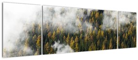 Obraz lasu w chmurach (170x50 cm)