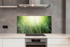 Szklany Panel Trawa w Promieniach Słońca