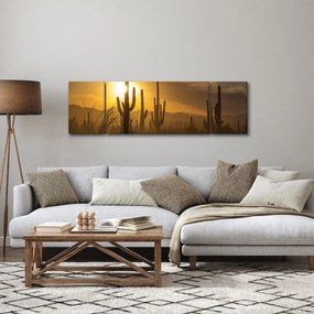 Obraz - Kaktusy Saguaro (170x50 cm)