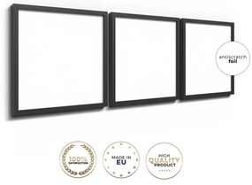 Obrazy zestaw 3 szt. 30x40 cm Parisienne – Styler