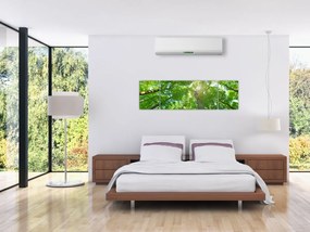Obraz - Las (170x50 cm)