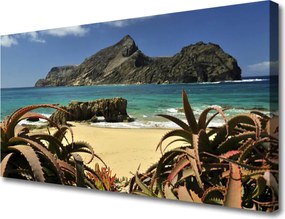 Obraz canvas Skaliste Wybrzeże Oceanu