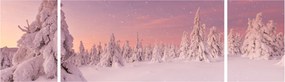 Obraz - Drzewa pod warstwą śniegu (170x50 cm)