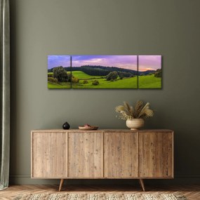 Obraz łąki (170x50 cm)