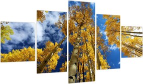 Obraz - Aspen (125x70 cm)