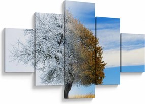 Obraz - Zmiana pór roku (125x70 cm)