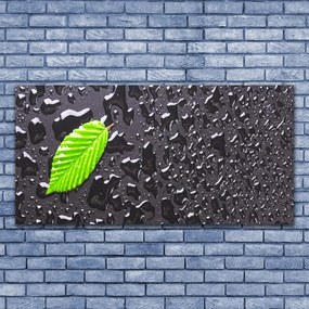 Fotoobraz na płótnie Rosa na Młodym Liściu