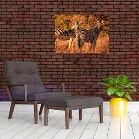 Obraz na szkle zebr (70x50 cm)