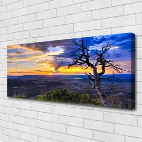 Zdjęcie na płótnie Sylwetka Drzewa o Zachodzie