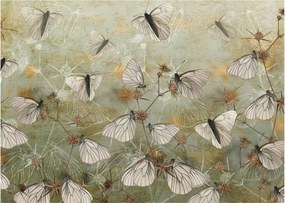 Obraz - Vintage motyle (70x50 cm)