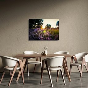 Obraz na szkle pola lawendy (70x50 cm)