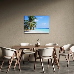 Obraz palmy na plaży (70x50 cm)