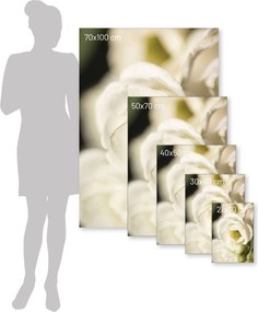 Plakat Flower Wall