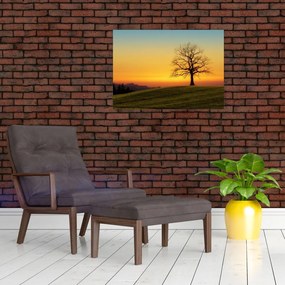 Obraz na szkle drzewa na polu (70x50 cm)