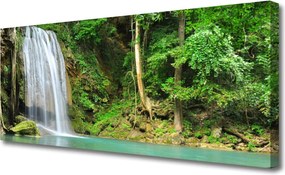 Obraz canvas Leśna Kaskada Wodna