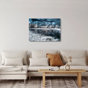 Obraz na szkle - Zamarznięty krajobraz (70x50 cm)