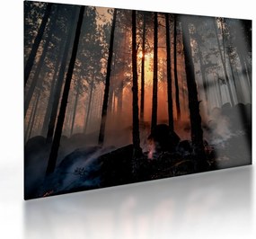 Obraz na szkle - ciemny las (70x50 cm)