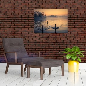 Obraz łabędzi na wodzie we mgle (70x50 cm)