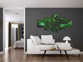 Obraz - Liście palmowe (125x70 cm)