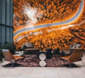 Fototapeta - Ścieżka wśród drzew (196x136 cm)