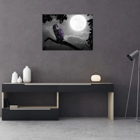 Obraz na szkle - Nocna sowa, fioletowa sowa (70x50 cm)