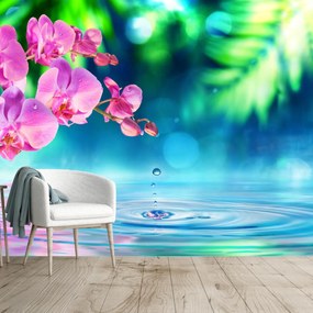 Fototapeta - Orchidea (196x136 cm)