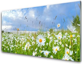 Panel Kuchenny Dywan Białych Stokrotek