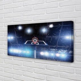 Obraz drukowany na płótnie Kosz W Blasku Reflektorów