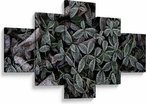 Obraz - Zamrożone rośliny (125x70 cm)