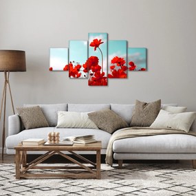 Obraz pola z jasnoczerwonymi kwiatami (125x70 cm)