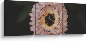 Obraz pomarańczowego kwiatu (z zegarem) (90x30 cm)