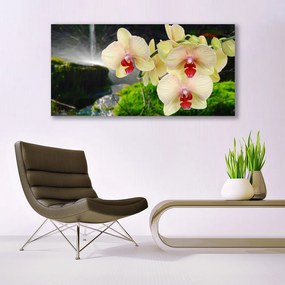 Obraz na płótnie Słońce Przebijające przez Korony