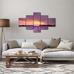 Obraz - Pole lawendy (125x70 cm)