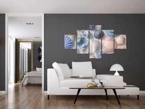 Obraz - Kolekcja muszli (125x70 cm)