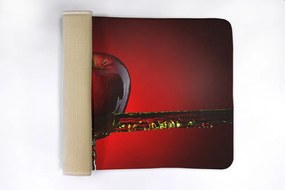 Dywanik antypoślizgowy do łazienki Dywanik antypoślizgowy do łazienki Czerwone Jabłko